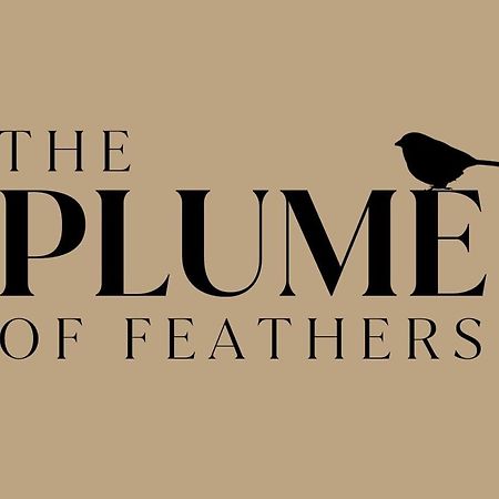 The Plume Of Feathers Farnham  Exteriér fotografie